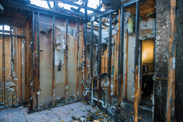 Professional Fire Damage Removal technician working in Grand Saline, TX